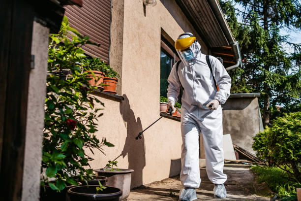 Best Termite Control Services  in Deer Park, OH