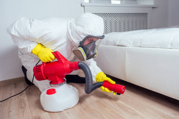 Best Best Pest Control Companies  in Deer Park, OH